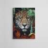 Leopard Jungle